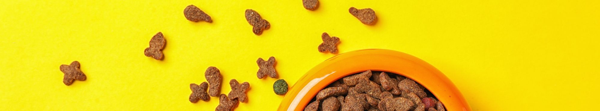 Comida Húmida para Gatos